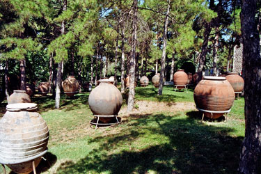 Garten des Anadolu Medeniyetleri Müzesi